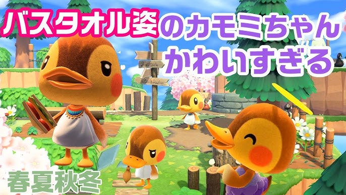 カモミ どうぶつの森かもみ とは