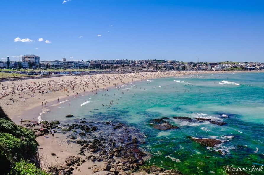 ボンダイビーチ - Wikipedia