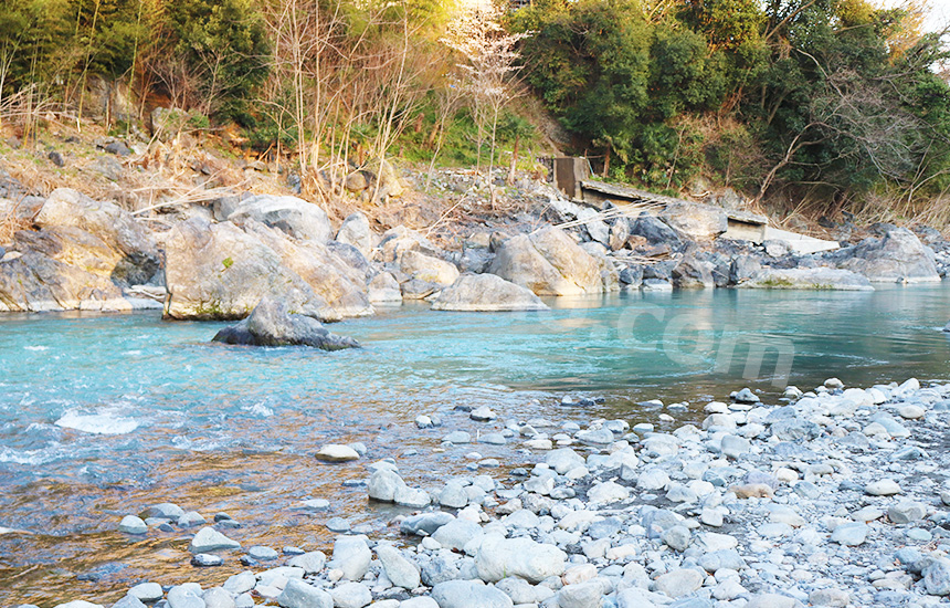 宮城県利府町 加瀬沼公園のバス釣りポイント！釣れるサイズや釣り方、釣り禁止エリアの紹介！タックルノート