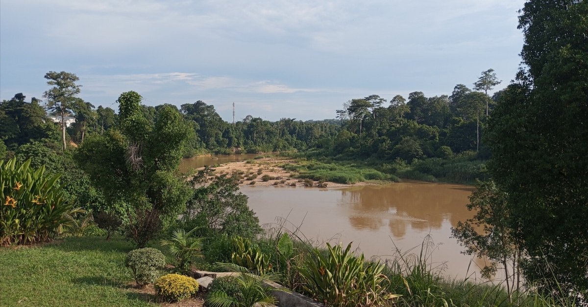 Amazon.com: 繊細さんでも海外旅行を100倍楽しめる写真ガイドブック マレーシア タマンネガラ編:HSPさんがストレス社会の疲れを森林パワーで癒す旅行術繊細さんシリーズJapanese Edition