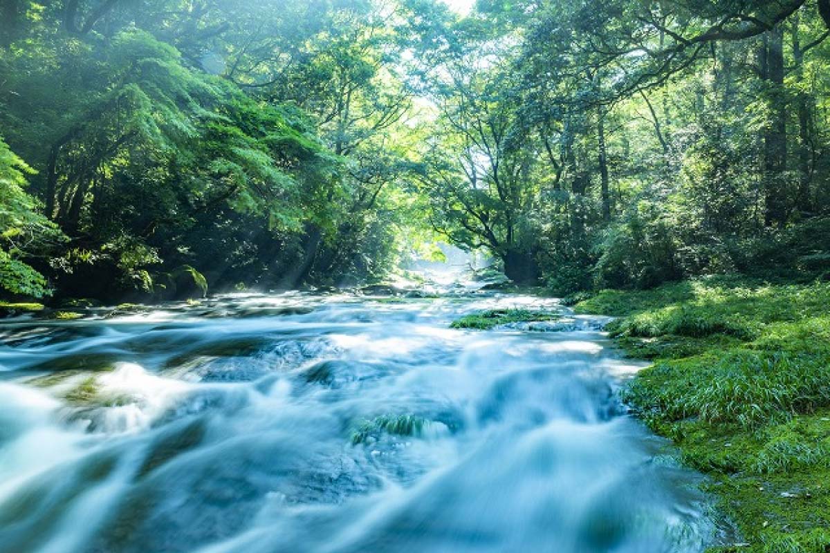 阿蘇のラピ〇タの道は今！？ – 阿蘇び心