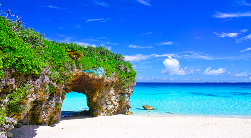 明石市 予約は12月30日まで！漁師寿司海蓮丸で、お造りやお寿司の年越し商品が予約注文できます。号外NET 明石市