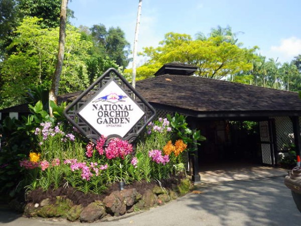 シンガポール植物園：シンガポール唯一の世界遺産 その1 -