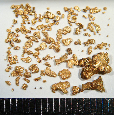 気まぐれDiary 〜海賊キャプテンキッドの財宝が日本に眠る！？〜ケロケロの気まぐれDiary