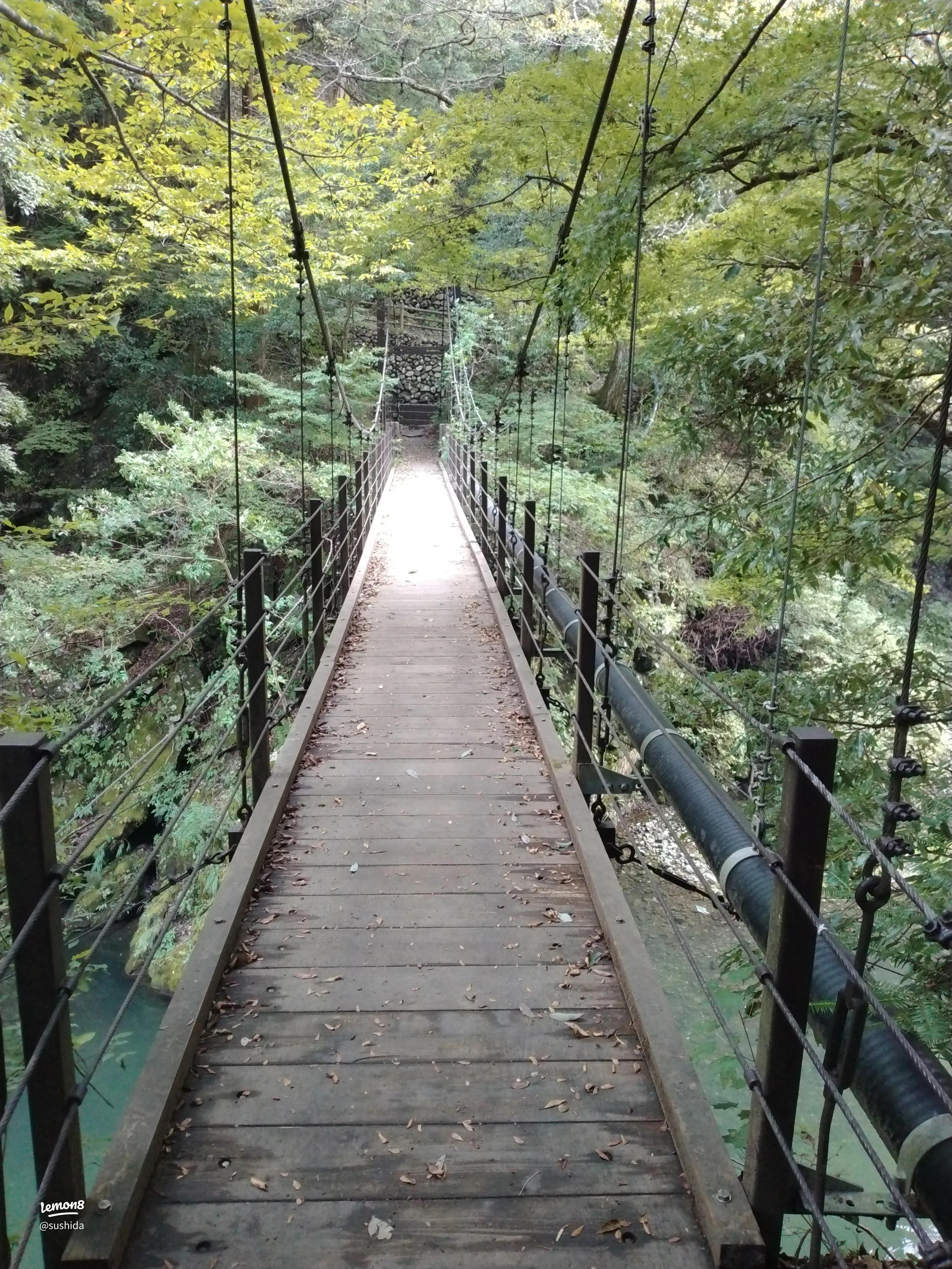 多摩川またぐ優美な斜張橋と暮らし繋いだアーチ橋～川井駅前の顔多摩めぐりブログ
