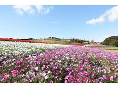 伊勢久留麻神社 兵庫県淡路市久留麻趣味三昧〜神社、お寺、お城、読書、舞台、美術館、博物館