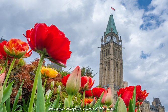 オタワで行っておきたい厳選お勧め観光スポット留学スクエア