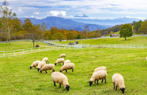 白州・小淵沢エリアのおすすめ観光スポット北杜市にいこう。おすすめ観光スポット55選PORTA
