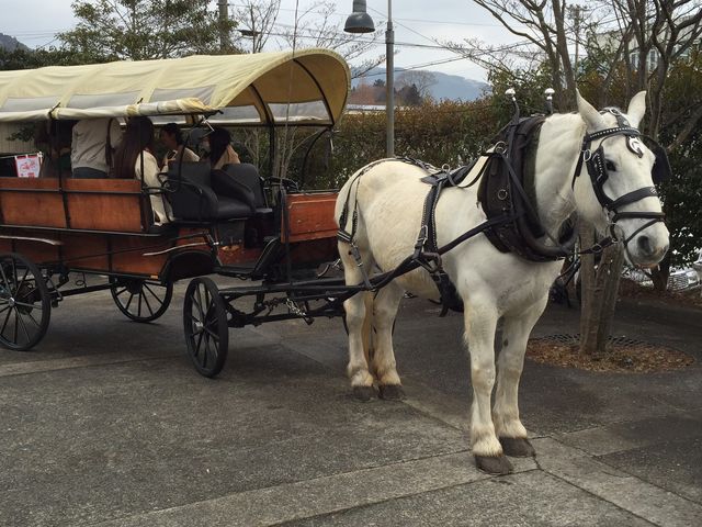 ぐるり春号 vol.65 おんせん県おおいたの春旅