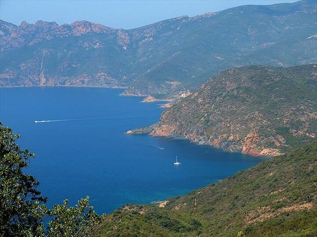 ナポレオン生誕の島、コルシカ島へようこそ