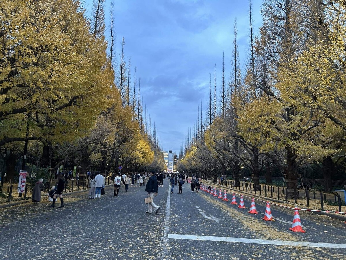 外苑前イチョウ並木 歩行者天国TikTok