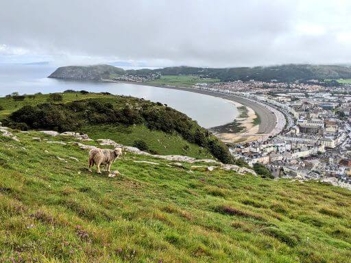 中世の城と大自然を堪能！ウェールズのおすすめ観光地10選名所を厳選NEWT ニュート