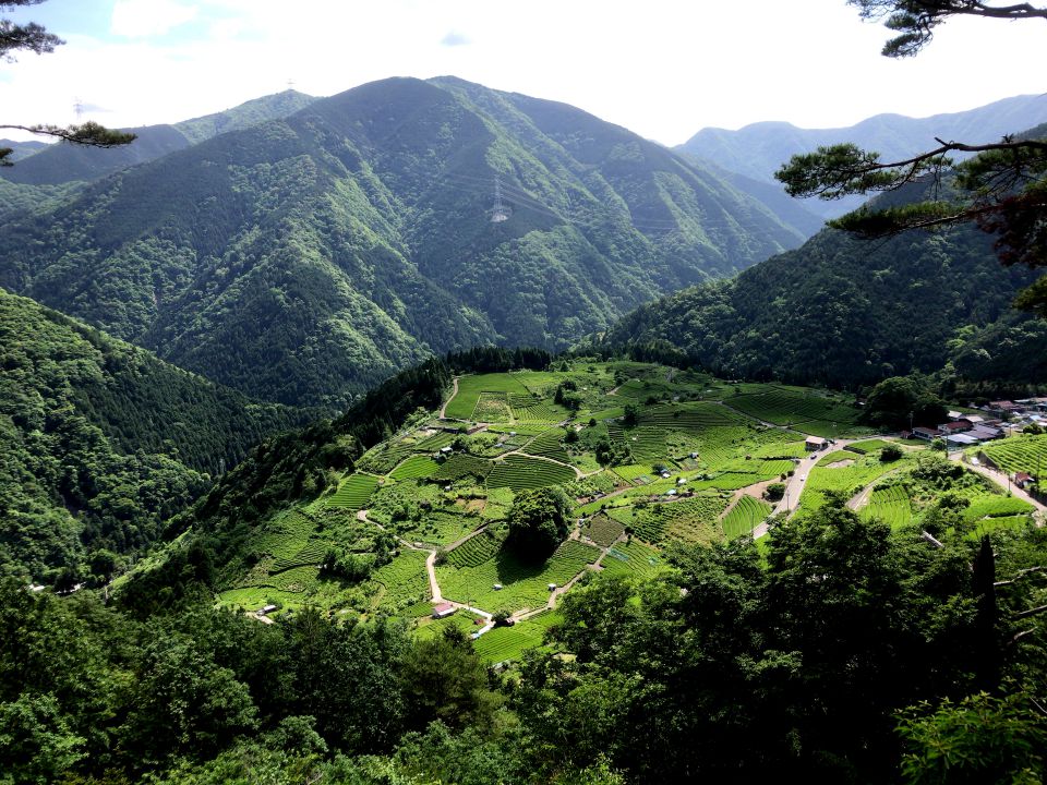 岐阜のマチュピチュ 天空の茶畑GANREF