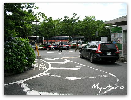 潮風スポーツ公園 三浦スポーツ公園見どころ・アクセス方法・周辺情報