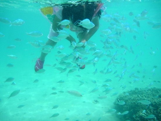 グアムの宝石、イパオビーチへ。究極のチルタイムと絶品グルメを巡る大人の休日SimVoyage