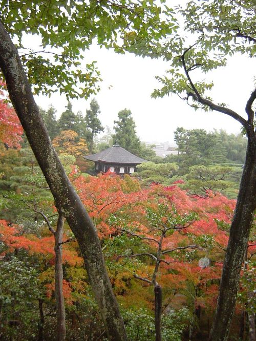雨の日に行きたい京都雨の日も楽しくなる、京都のおでかけスポットを8つご紹介します！ ぜひおでかけの参考にしてみてください💭01・表紙左上 📍木津川市「 岩船寺」 📷