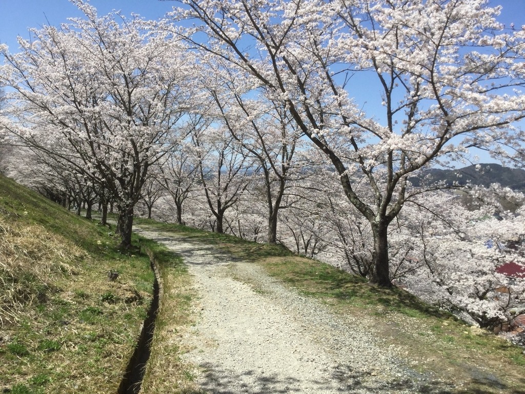 サムスン階段』行き方記載 南山公園 大階段