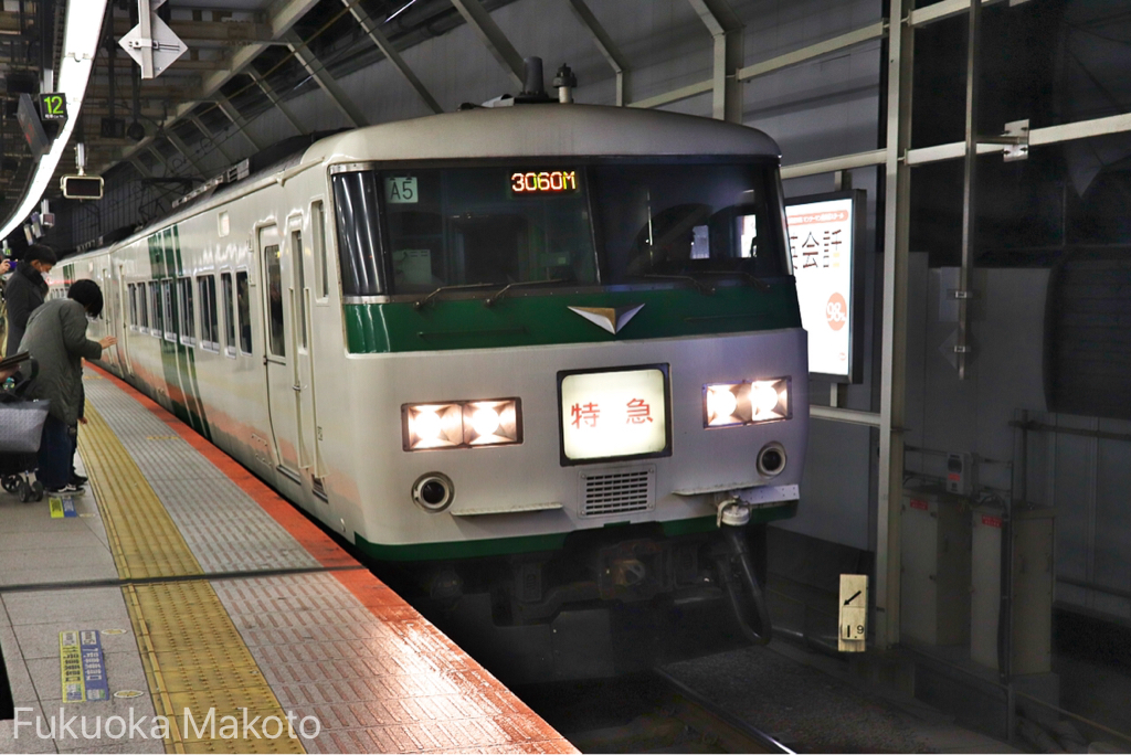 JRのプレミアムグリーン車、1,600円から 「サフィール踊り子」3月14日デビュー - TRAICY トライシー