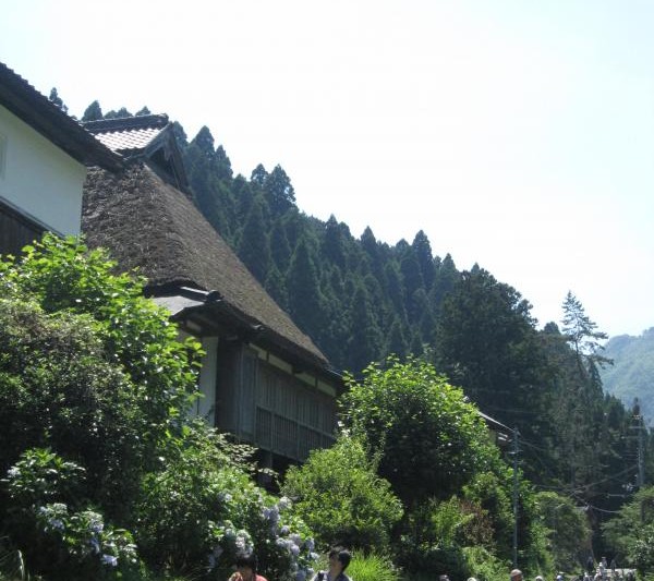 本坂通 - Wikipedia