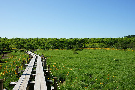 那須の観光スポット 移住者が厳選した絶景5選！静かな自然と青に包まれる癒しの旅