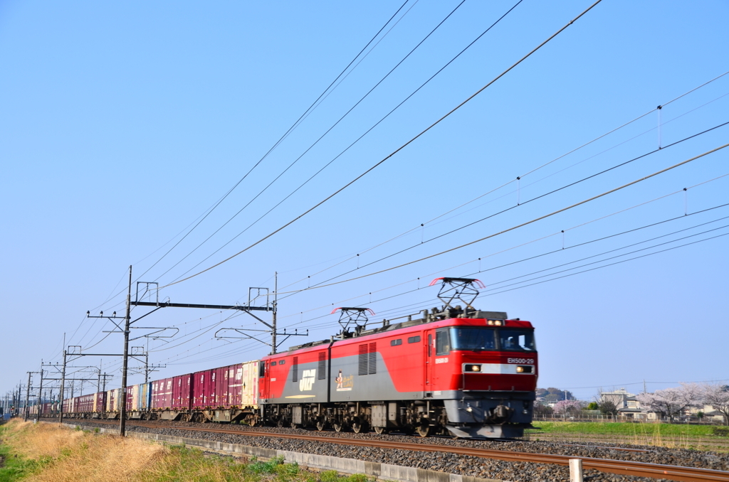 ヒガハスでＥＨ500を撮影 3月16日撮影- 線路はつづく