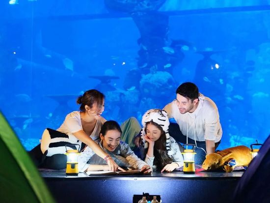 ジャカルタ水族館とサファリの入場券 2025