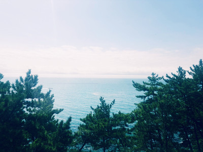 釜山 海雲台ブルーラインパーク＋海東龍宮寺 日帰り観光ツアー 韓国- KKday