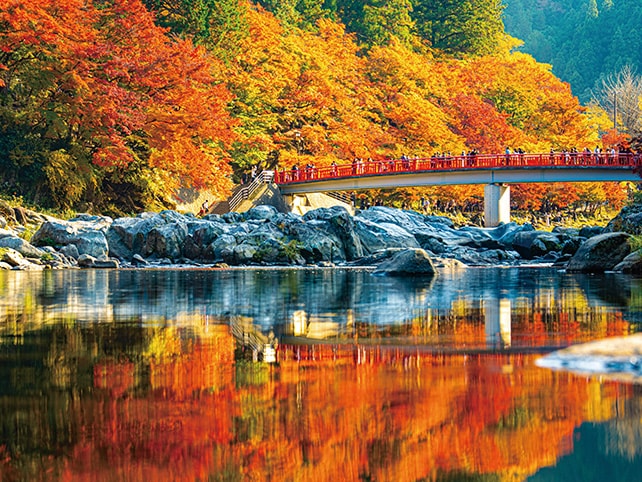 兵庫 絶景！紅葉スポット27選 名所から穴場まで見頃やイベント情報も徹底紹介秋の観光におすすめみたい-まるはり×みたい-みつけて播磨