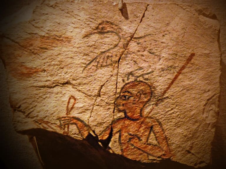 中古新古品・未使用品移民社会アメリカの記憶と継承:移民博物館で読み解く世界の博物館アメリカ世界的コレクションで巡る古代約３千年の当時の暮らし・王の実像・死生観のリアル 『ブルックリン博物館所蔵 特別展