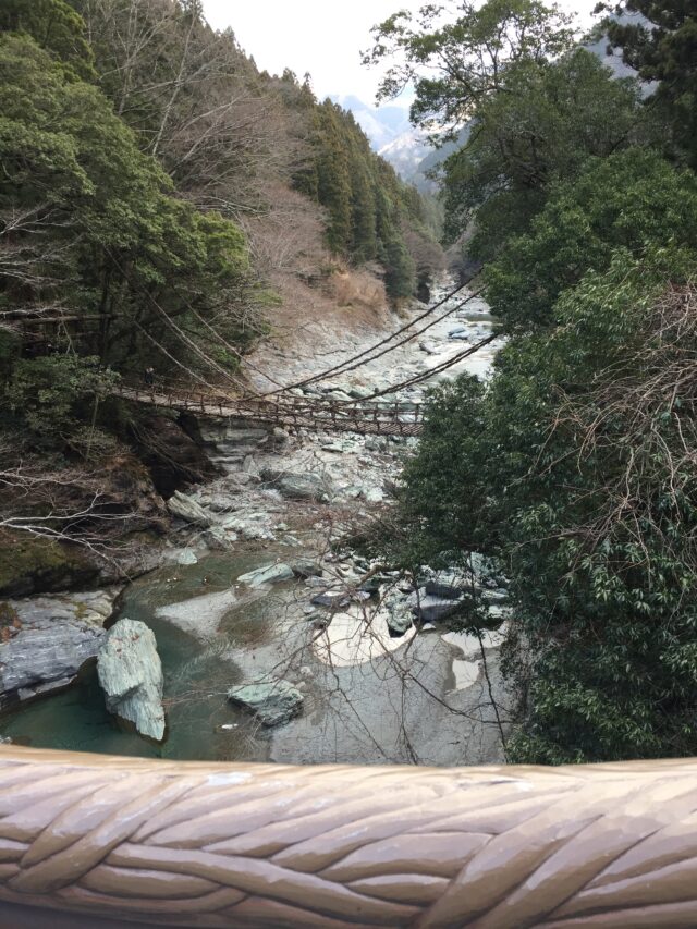 高知を拠点に4日間③④ 龍河洞,祖谷のかずら橋 イチローラモ