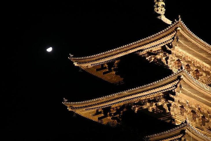 京都 東寺の紅葉2024年版 見どころは五重塔のライトアップ！混雑情報やアクセス方法を徹底解説