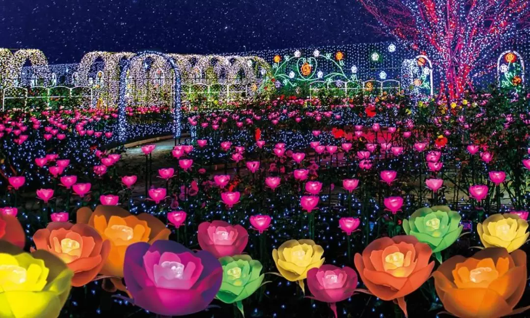 足利フラワーパーク イルミネーション バスツアーに関する一覧読売旅行