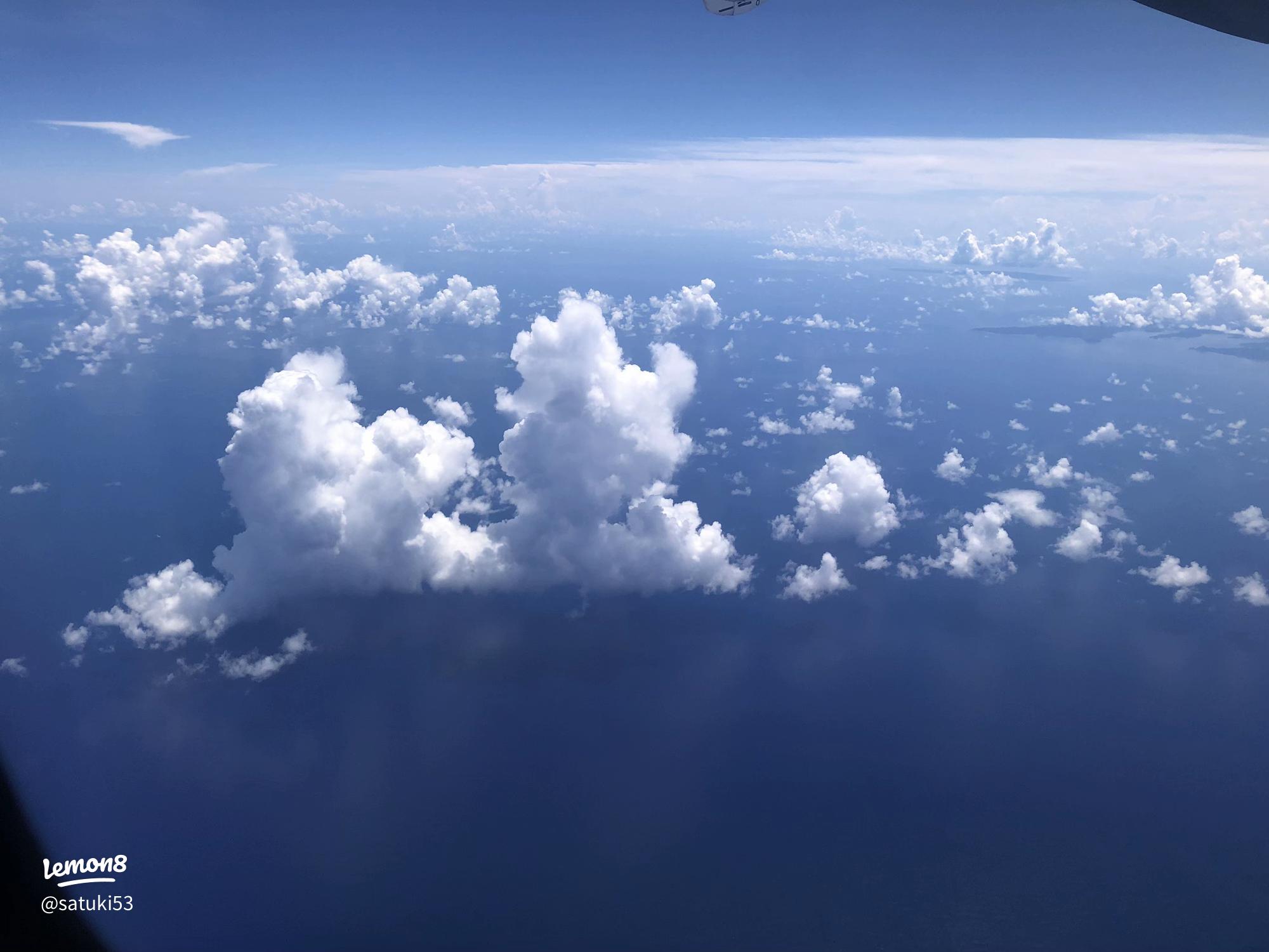 雲の上は、いつも晴れ。まめ