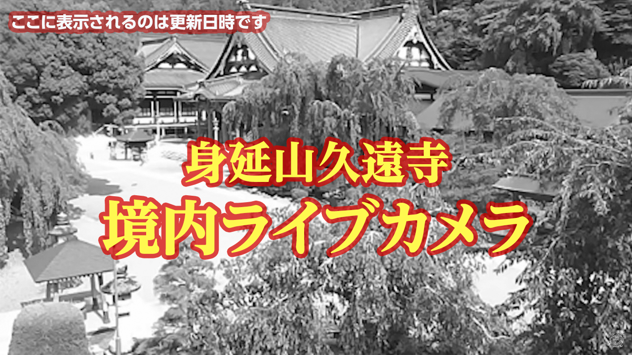 SONY DSC-W830 修学旅行・学校行事用カメラパンダスタジオ・レンタル公式サイト