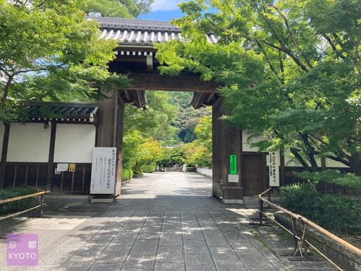 第150回 永観堂 禅林寺『紅葉の永観堂で仏教美術に触れる』 :