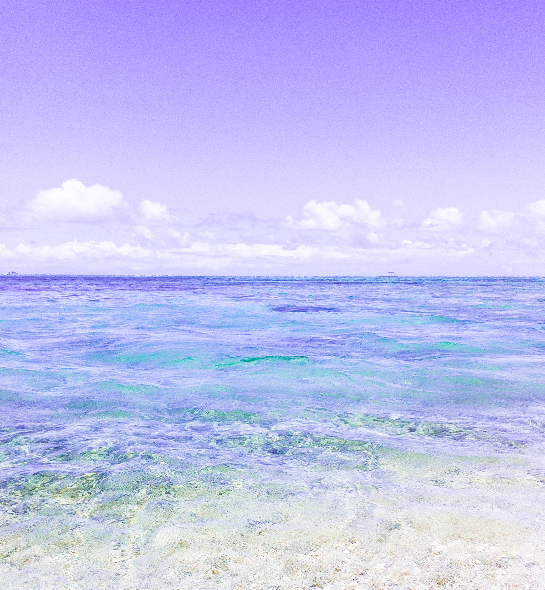 川遊びについて川が綺麗なキャンプ場 山都町 青葉の瀬ホームページ