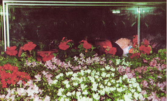 クムスサン太陽宮殿 - ナムウィキ