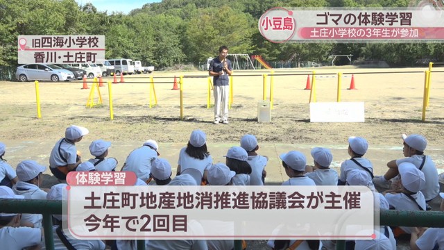 小豆島で味わう“食の文化”体験！こだわり工場見学3スポット 土庄雄平が行く 新しいフェリー旅15『ジャンボフェリー』公式サイト