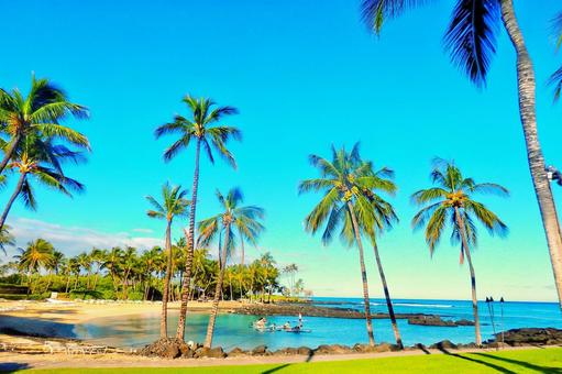 ハワイにある美しい海14選！有名なビーチから静かな穴場スポットまで目的別に紹介 –ハワイアンホースト公式 オンラインショップ