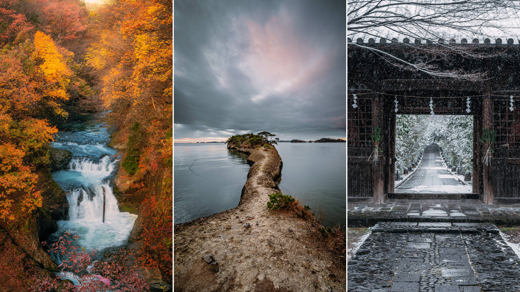 仙台・宮城の写真映えスポット完全ガイド2025 年のリアルなLemon8ユーザー体験