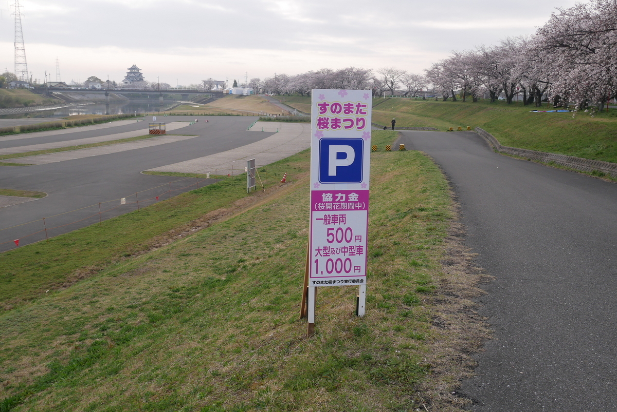🌸令和7年 臼杵城址 桜まつり🌸