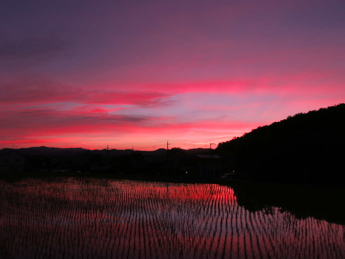 夕焼け空」の1082万点のロイヤリティフリー画像、写真素材、絵Shutterstock