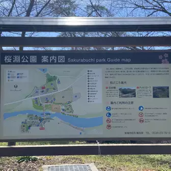 埼玉深谷・青淵公園の桜を歩いてみました。 ブラタモリのロケ地 』深谷・寄居