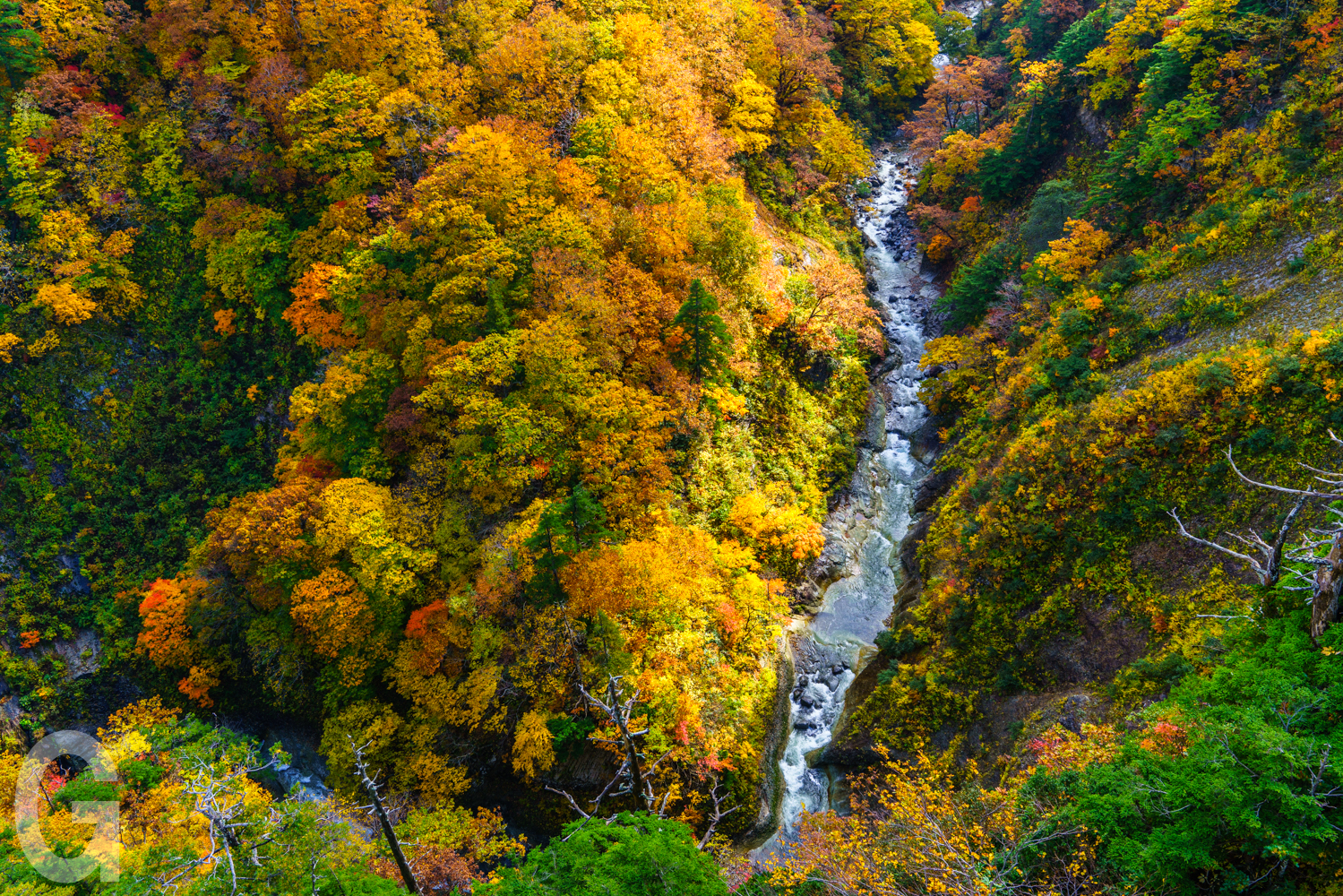 青森│城倉大橋：綿延不盡紅葉美景，賞楓推薦交通停車＆順遊景點-輕旅行