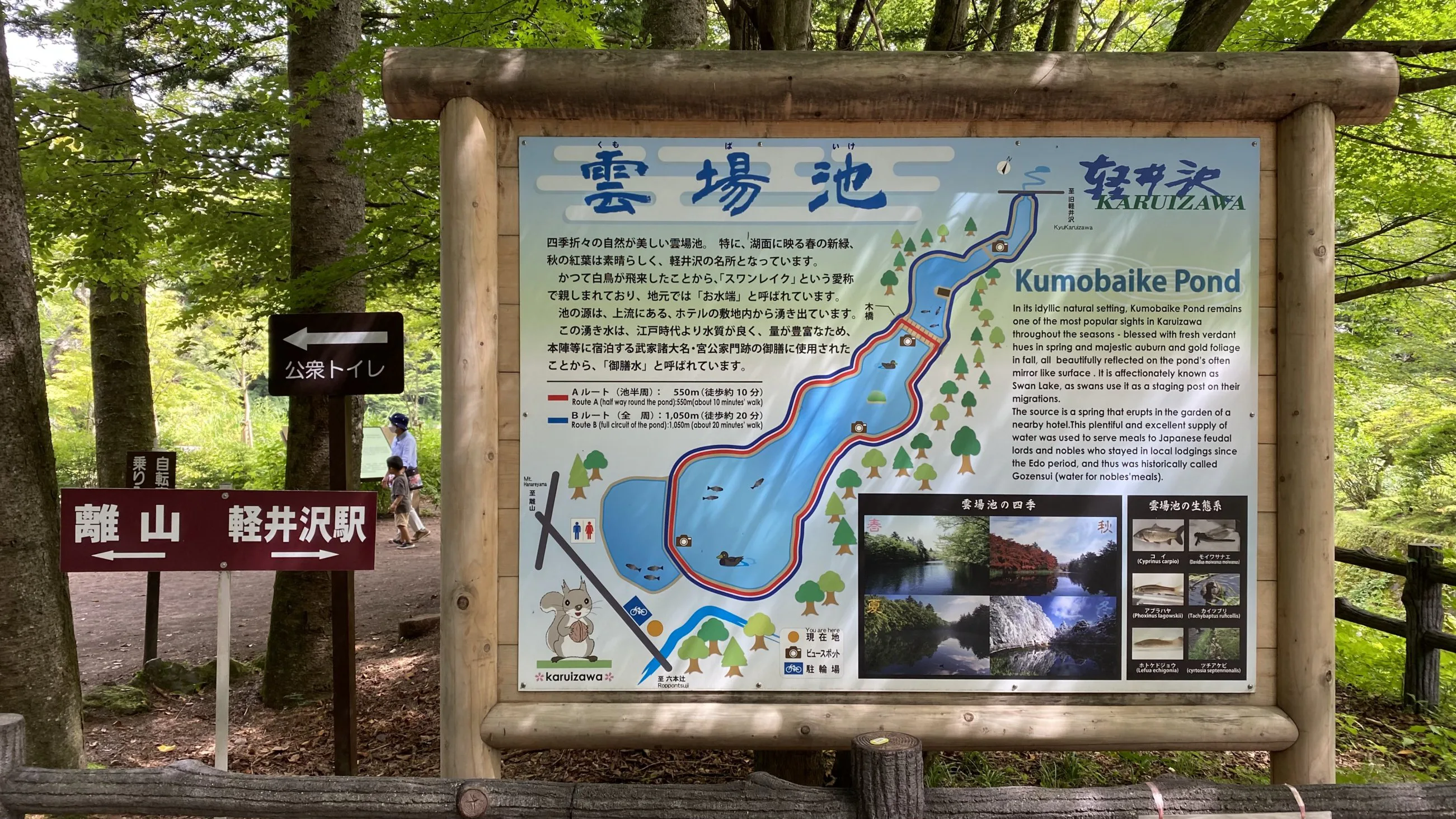 軽井沢の紅葉スポットのおすすめ10選！見頃の時期や混雑状況なども紹介なっぷ