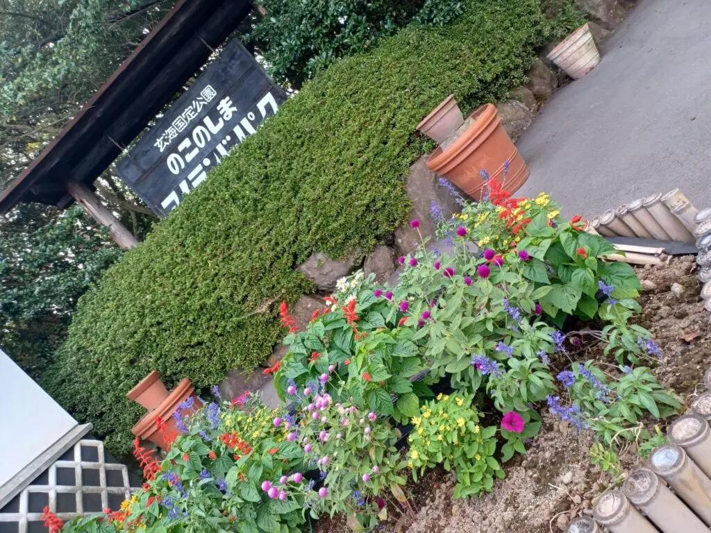 2024年9月1日より『能古島アイランドパーク』はわんこ同伴で入園可能になりました🎉, 今回ドッグモニのお仕事で行ってきました✊,かーしゃんは30年ぶり❓, フェリーでたった10分なのにねー,渡船場からアイランドパークまでのバスが🐶はキャリーINじゃないとダメなので今回は🚗で渡りました🚢,ここのコスモスは海とのコントラストが綺麗なのです🌸,