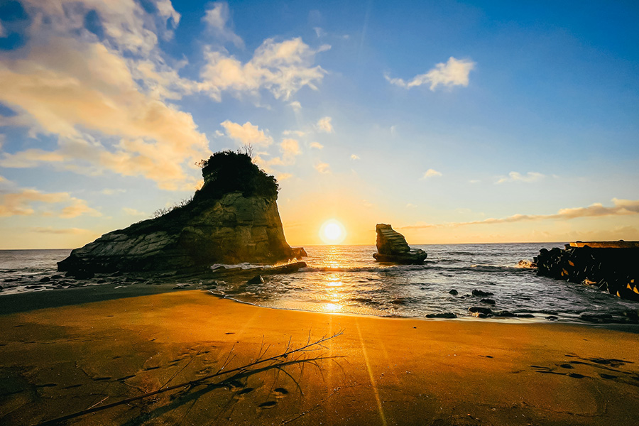 いすみ鉄道 一面に広がる菜の花畑♪ 南房総を走る、ムーミン列車に乗って出掛けよう♪キナリノ