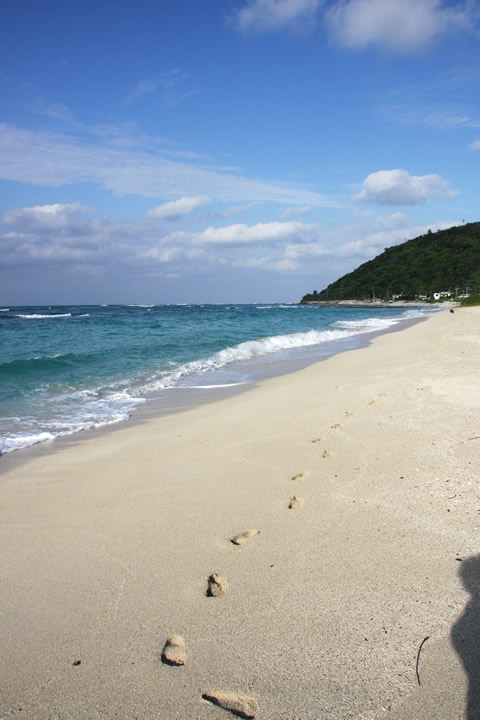 Beachの写真 - 無料の高画質写真をダウンロードFreepik