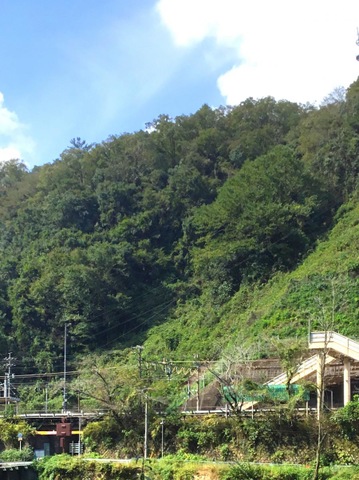 秘境駅 JR中央本線古虎渓駅にて通過列車を動画で撮影 2019春の18きっぷ旅番外編