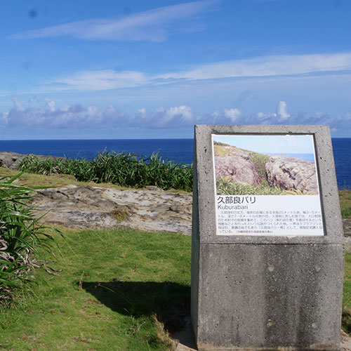 2月21日～24日 与那国ツアー - パパラギダイビングスクールでダイビングライセンス取得